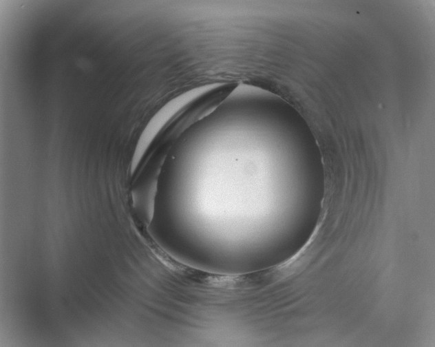 X0000074930192200609151948