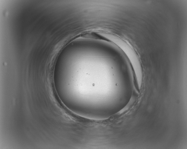 X0000074930193200609151947