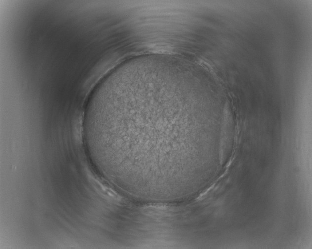 X0000074930194200609151947