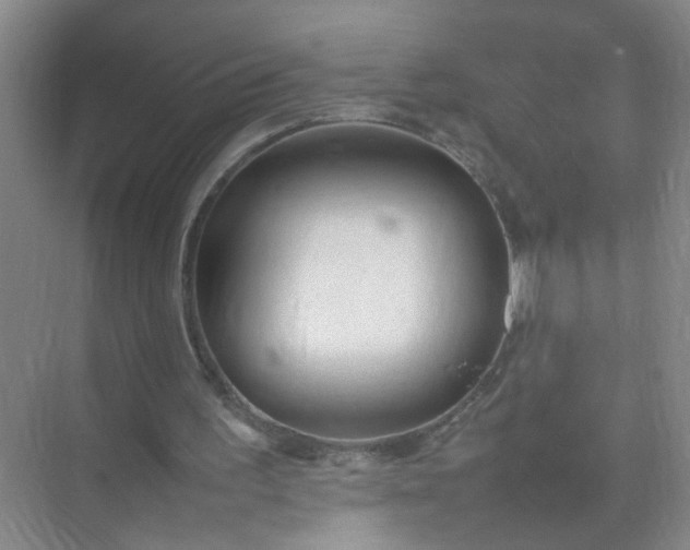 X0000074930195200609151947