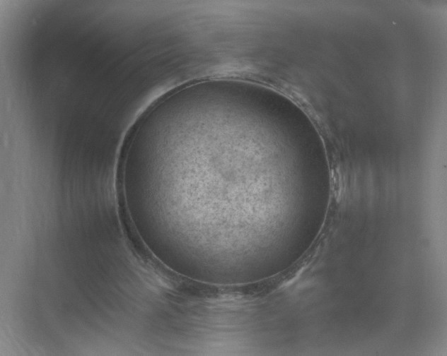 X0000074930196200609151947