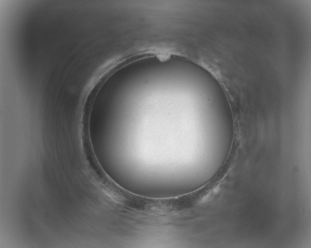 X0000074930199200609151947