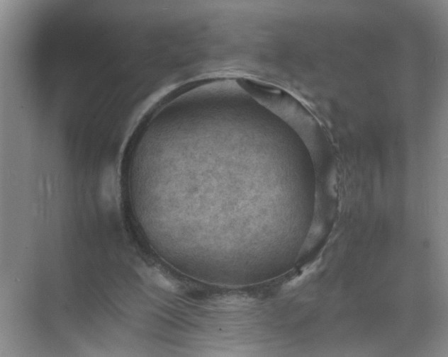 X0000074930200200609151947