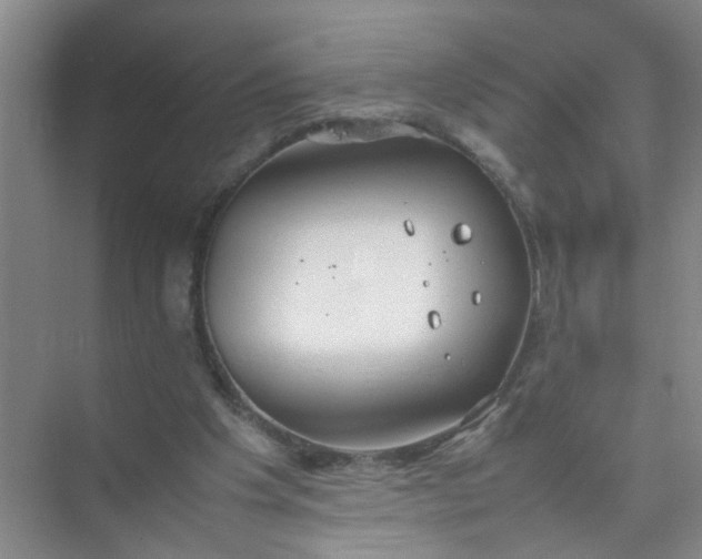 X0000074930201200609151947