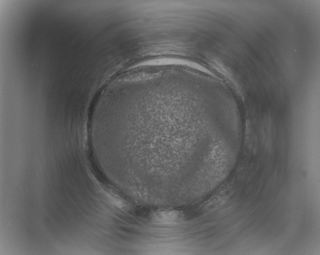 X0000074930202200609151947