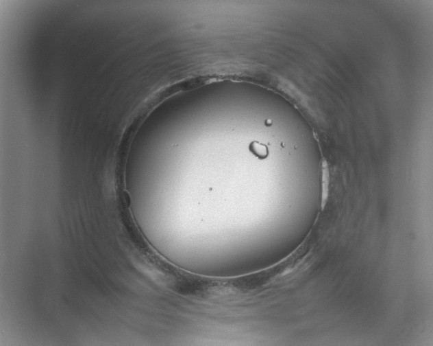 X0000074930203200609151947