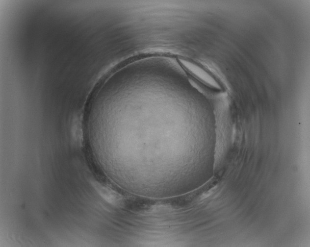 X0000074930204200609151947