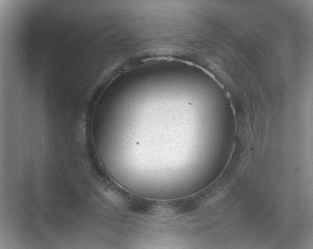 X0000074930207200609151947