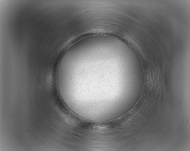 X0000074930208200609151947