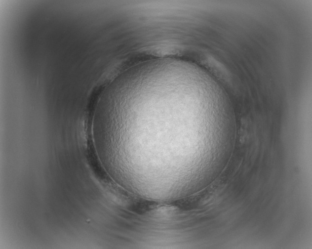 X0000074930210200609151947