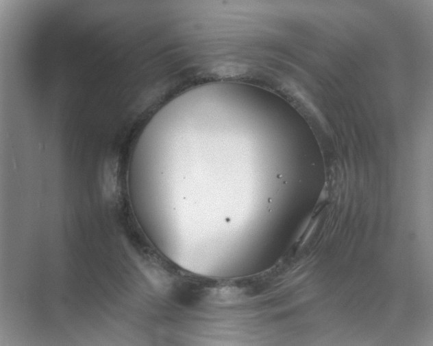 X0000074930212200609151947