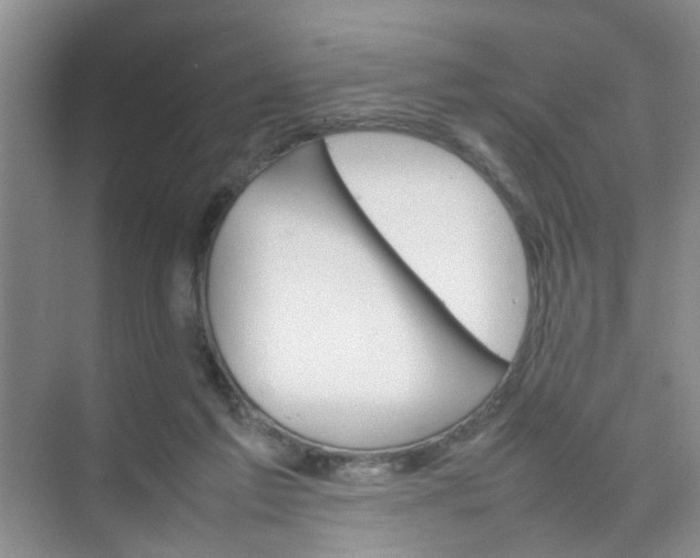 X0000074930213200609151947