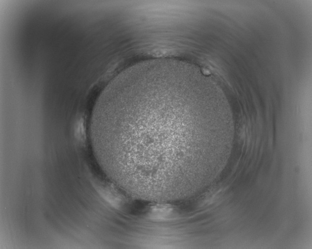 X0000074930214200609151947