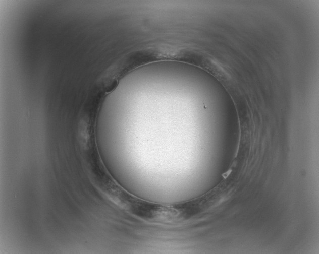 X0000074930215200609151947