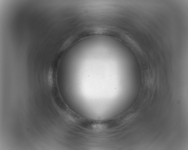 X0000074930216200609151947