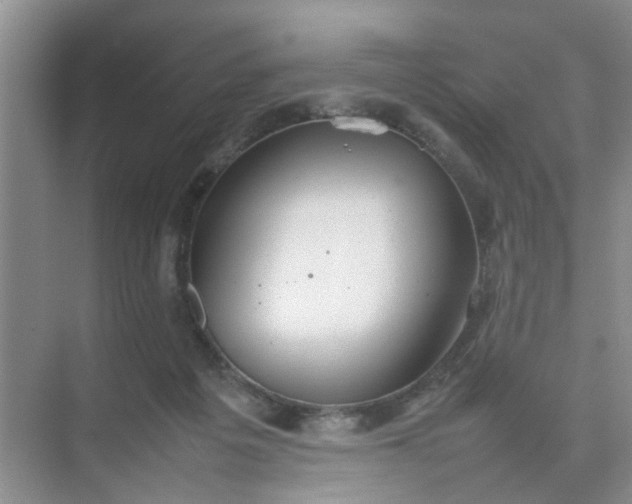 X0000074930217200609151947