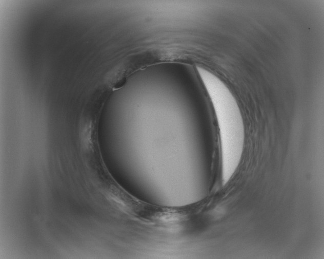 X0000074930219200609151947