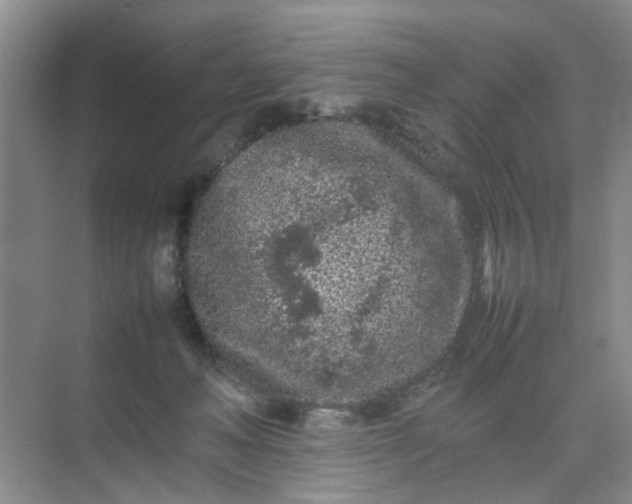 X0000074930222200609151947