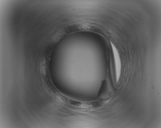 X0000074930223200609151947