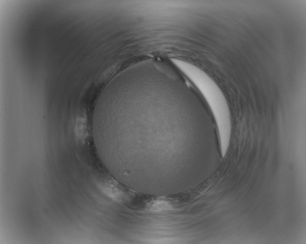 X0000074930224200609151947