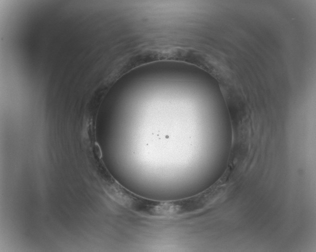 X0000074930225200609151947