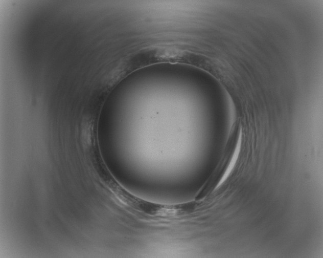 X0000074930227200609151947