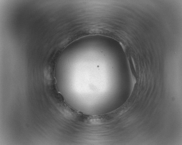 X0000074930228200609151947