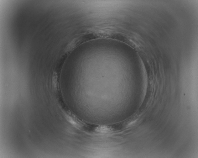 X0000074930231200609151947