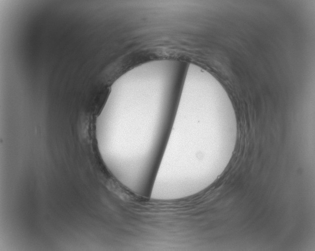 X0000074930233200609151947