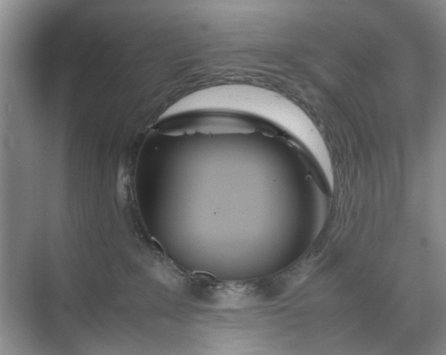 X0000074930235200609151947