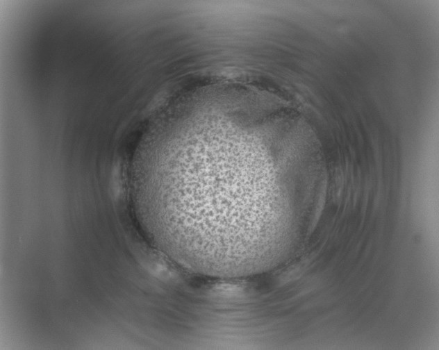 X0000074930236200609151947