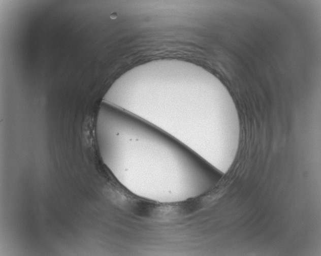 X0000074930237200609151947