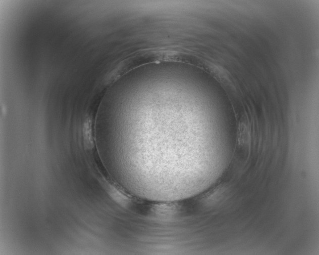 X0000074930238200609151947