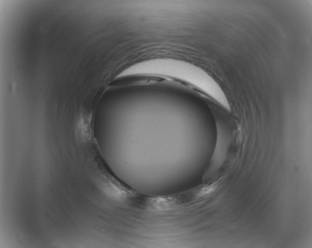 X0000074930239200609151947