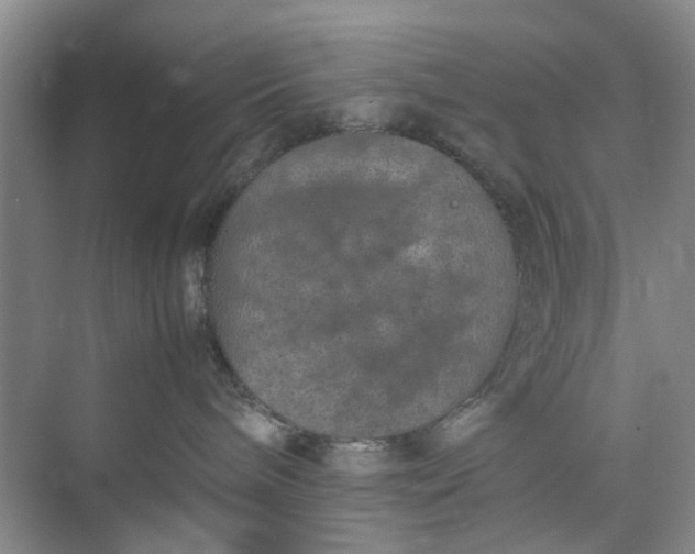 X0000074930240200609151947