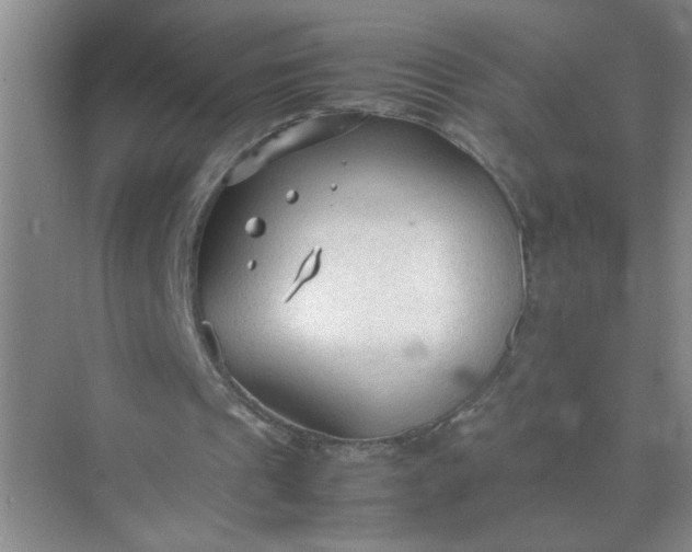 X0000074930241200609151946