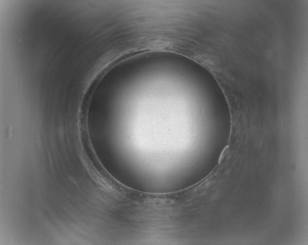 X0000074930242200609151946