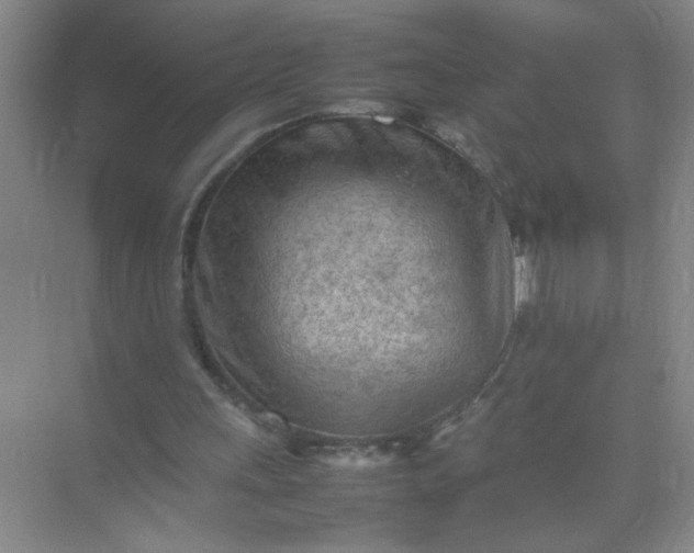 X0000074930243200609151946