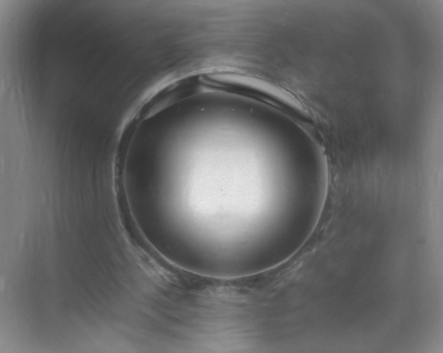 X0000074930244200609151946