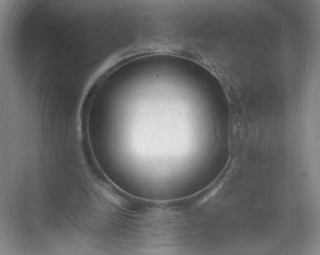 X0000074930246200609151946