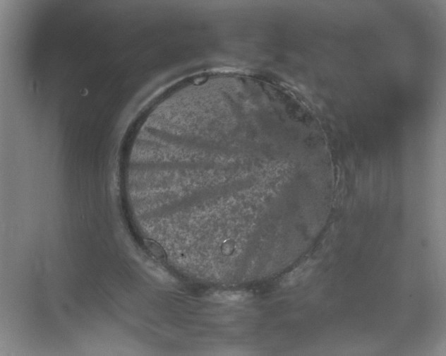 X0000074930247200609151946