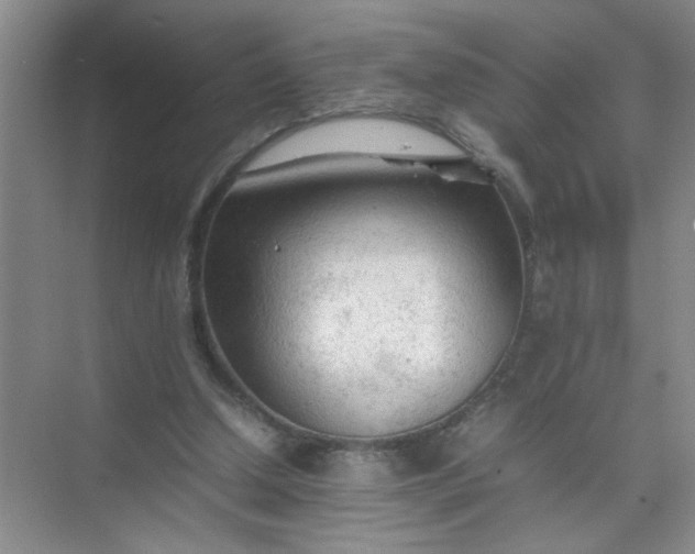 X0000074930250200609151946