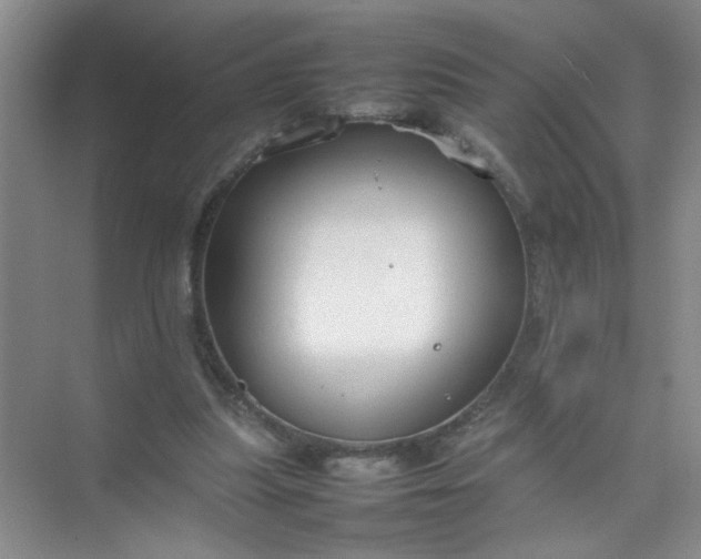 X0000074930251200609151946