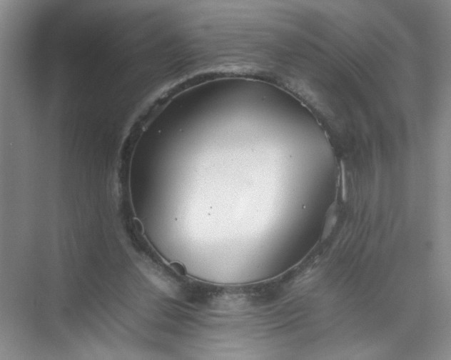 X0000074930252200609151946