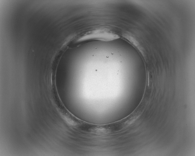 X0000074930253200609151946