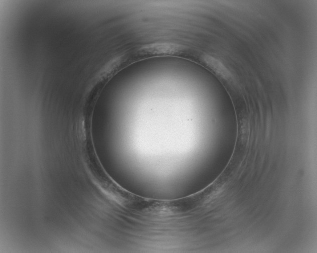 X0000074930254200609151946