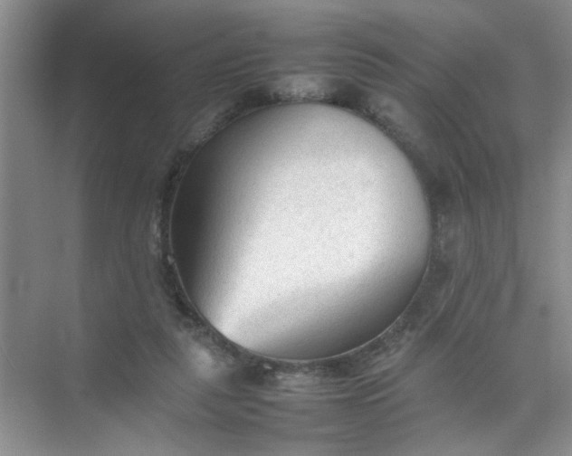 X0000074930259200609151946