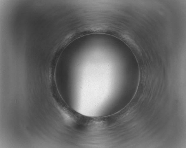 X0000074930260200609151946