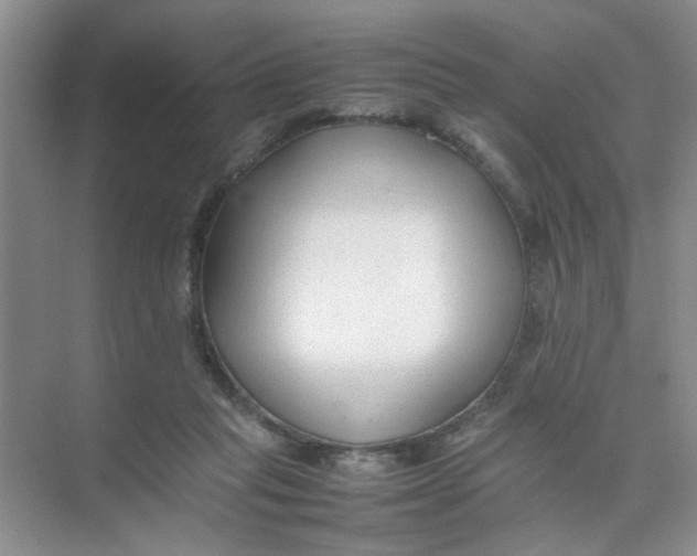 X0000074930261200609151946