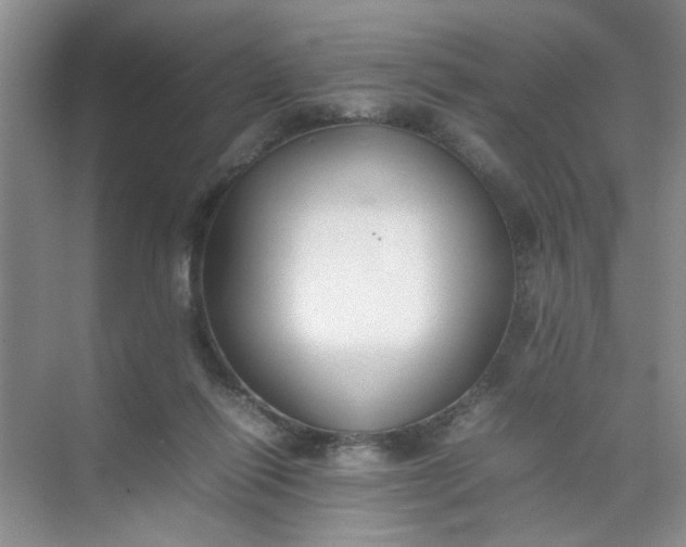 X0000074930262200609151946